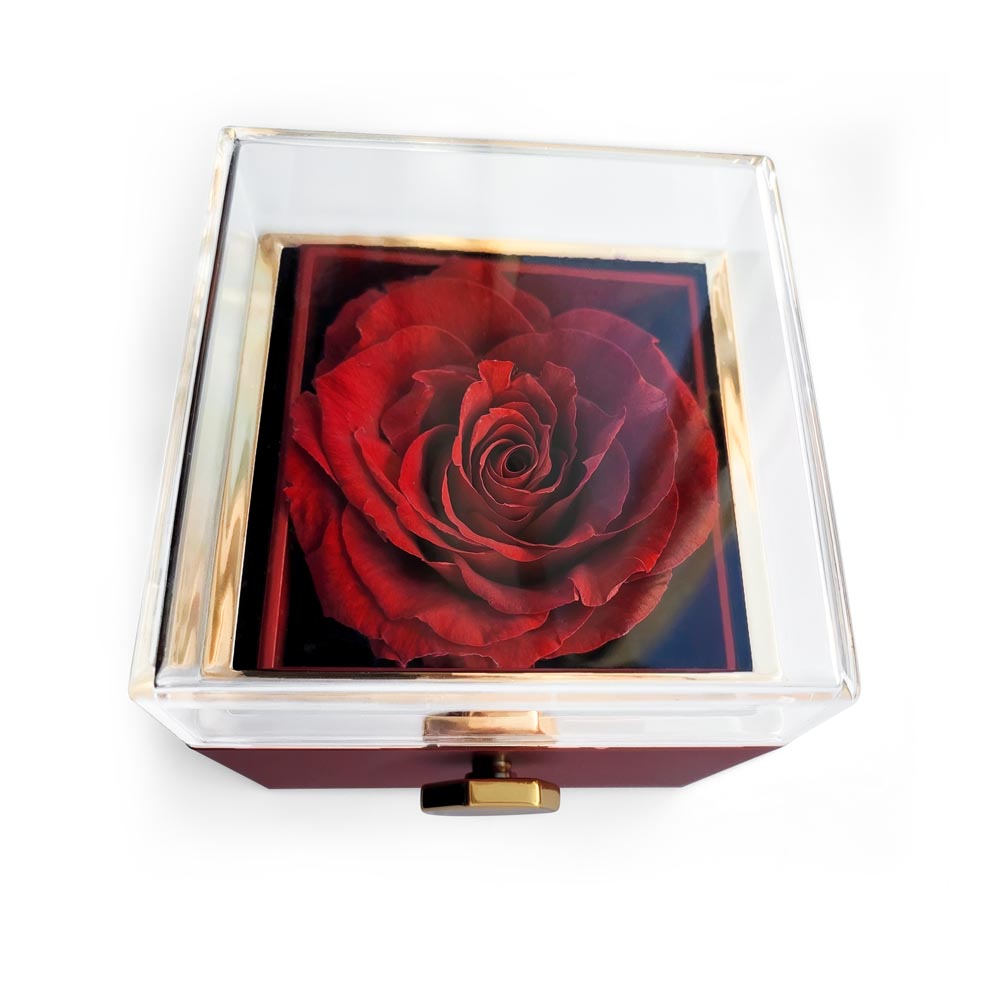 Class of 2025 | Congratulations ~ Love Knot Necklace with Preserved Rose Keepsake