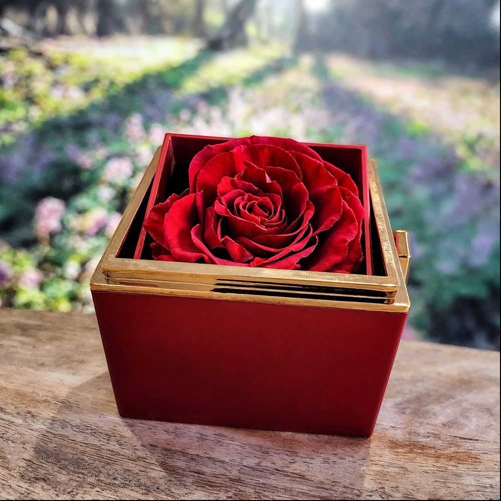 Class of 2025 | Congratulations ~ Love Knot Necklace with Preserved Rose Keepsake